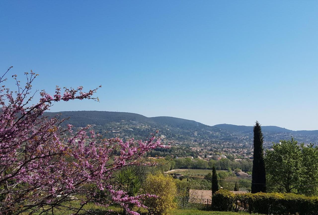 Villa Manoe Ντραγκινιάν Εξωτερικό φωτογραφία